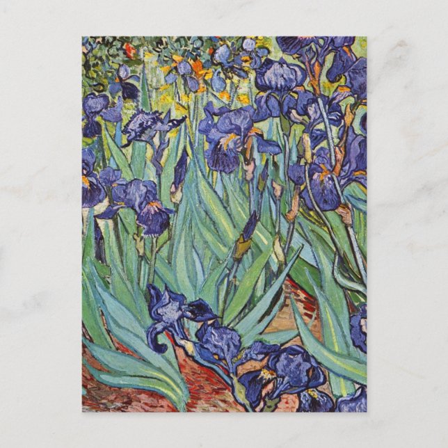 Cartão Postal Íris de Van Gogh Pintura Impressionista (Frente)