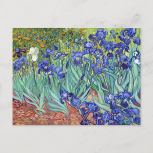 Cartão Postal Íris de Vincent van Gogh