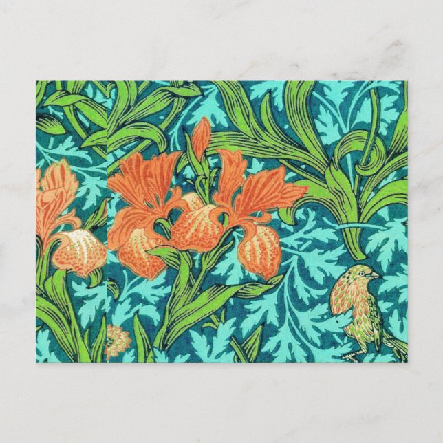 Cartão Postal Íris de William Morris, laranja e turquesa (Frente)