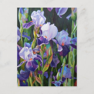 Cartão Postal Iris Flower Garden