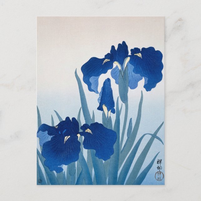 Cartão Postal Iris Flowers: Pintura de Ohara Koson (Frente)