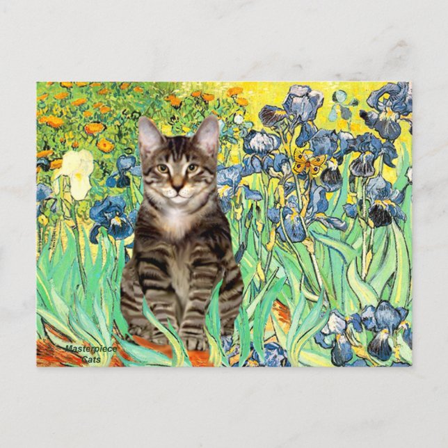 Cartão Postal Íris - gato tigrado 30 (Frente)