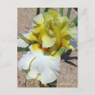 Cartão Postal Iris "Good Will Messenger" [Cartão Postal]