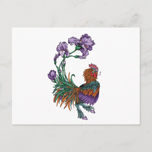 Cartão Postal Iris Rooster (Frente)