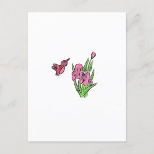 Cartão Postal Íris Rosa