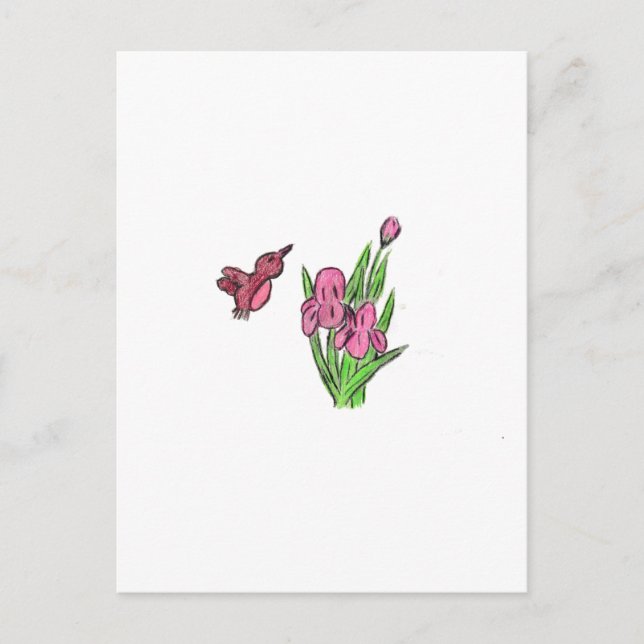 Cartão Postal Íris Rosa (Frente)