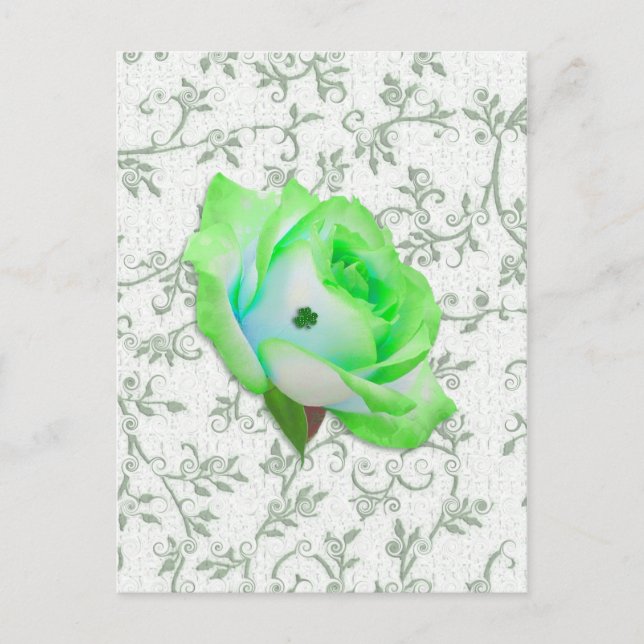 Cartão Postal Iris Rosa e Shamrock! (Frente)