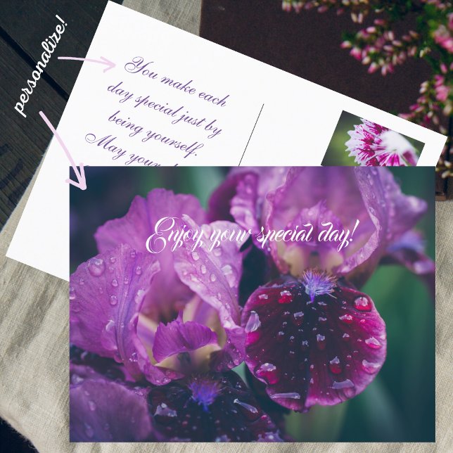 Cartão Postal Íris roxa após a chuva (Criador carregado)