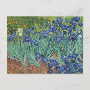 Cartão Postal Irisa azul verde amarelo Van Gogh