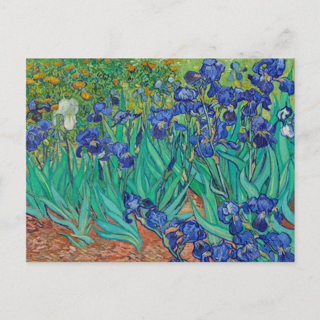 Cartão Postal Irises 1889 by Vincent Van Gogh Fine Art Flowers (Frente)