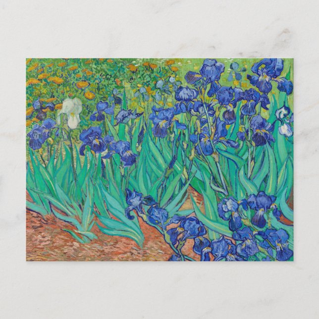 CARTÃO POSTAL "IRISES 1889", POR VINCENT Van Gogh (Frente)