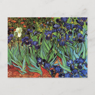 Cartão Postal Írises de Vincent van Gogh