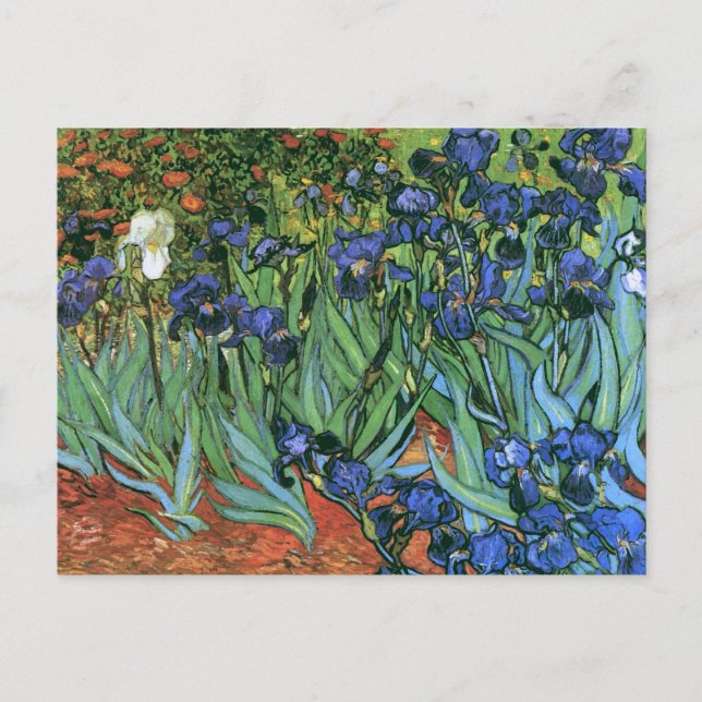 Cartão Postal Írises (F608) Van Gogh Fine Art (Frente)