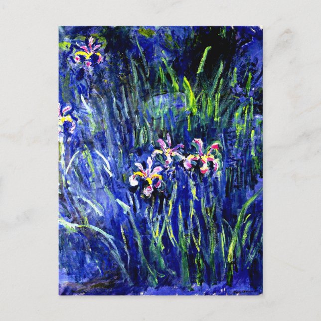 Cartão Postal Irises, famosa pintura de Monet, (Frente)