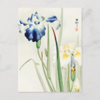 Irises Floral Flower Painting de Ohara Koson