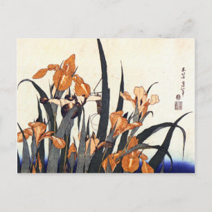 Cartão Postal Irises, Katsushika Hokusai