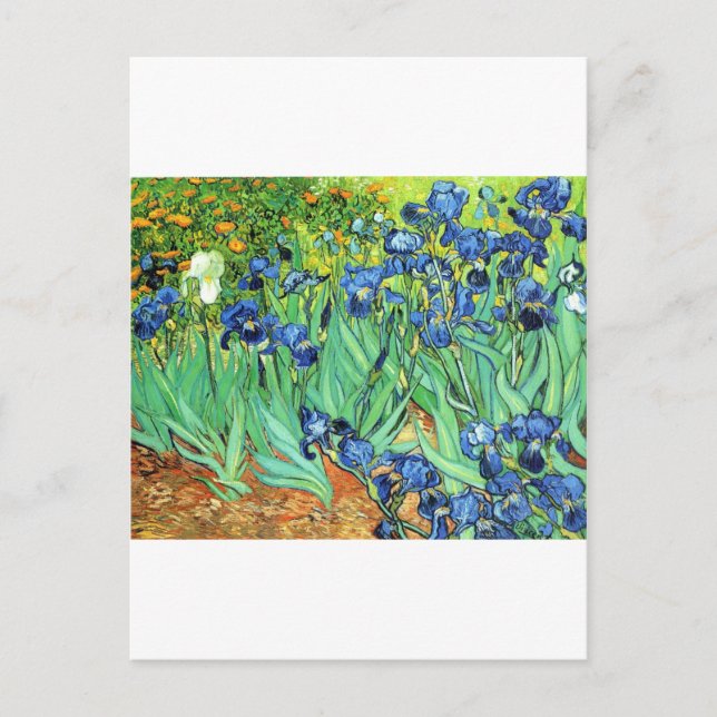 Cartão Postal Irises ~ Monet (Frente)
