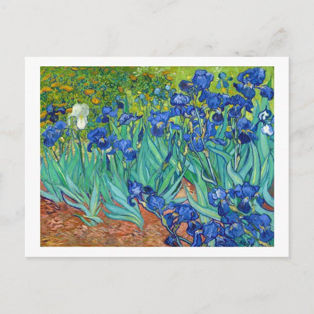 Cartão Postal Irises, Vincent van Gogh (Frente)