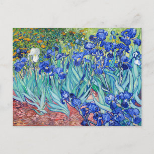 Cartão Postal Irises Vincent van Gogh