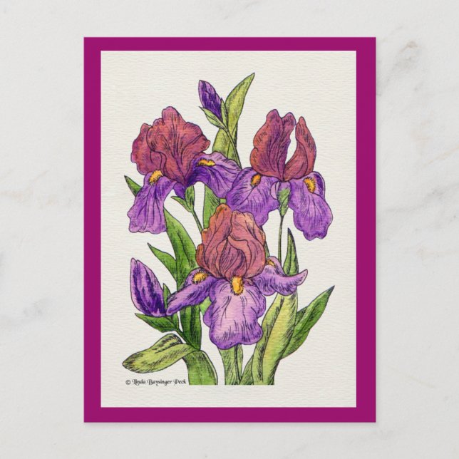 Cartão Postal Irises Watercolor (Frente)