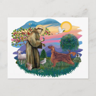 Cartão Postal Irish Setter