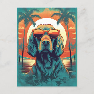 Cartão Postal Irish Setter com óculos escuros na praia