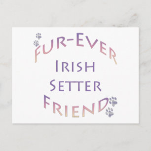 Cartão Postal Irish Setter Furever