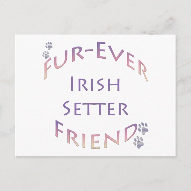 Cartão Postal Irish Setter Furever (Frente)