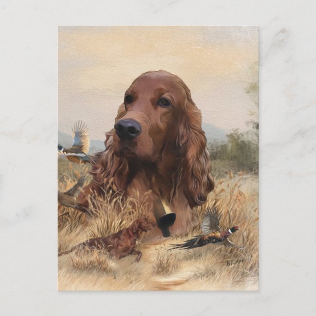 Cartão Postal Irish Setter Hunting Pheasant ,Art (Frente)