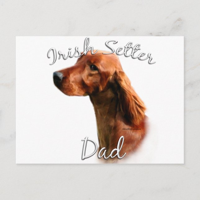 Cartão Postal Irish Setter Pai 2 (Frente)