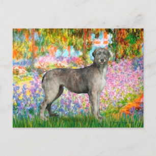 Cartão Postal Irish Wolfhound 3 - Jardim