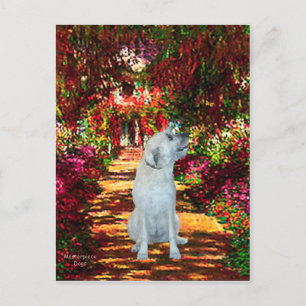 Cartão Postal Irish Wolfhound 4 - O Caminho