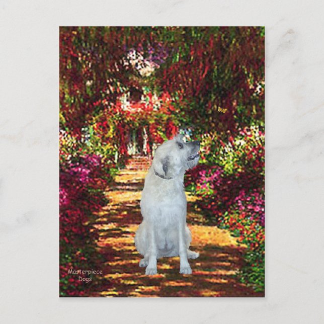 Cartão Postal Irish Wolfhound 4 - O Caminho (Frente)