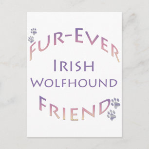 Cartão Postal Irish Wolfhound Fuservidor