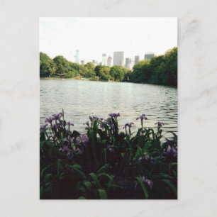 Cartão Postal irismmm 001