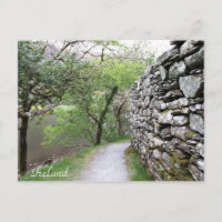 Irlanda, County Cork, Stone Wall, Fotografia,
