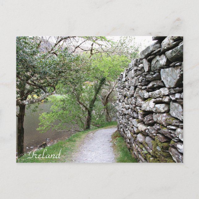 Cartão Postal Irlanda, County Cork, Stone Wall, Fotografia, (Frente)
