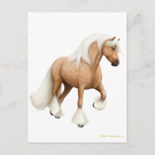 Cartão postal irlandês Cob Horse