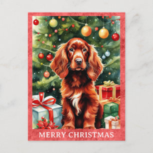 Cartão Postal Irlandês Setter Feliz Natal Cachorro De Cachorro