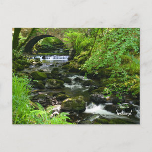 Cartão Postal Irlandês Verde - Irlanda