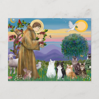 Cartão Postal Irmã Frances abençoando 5 gatos