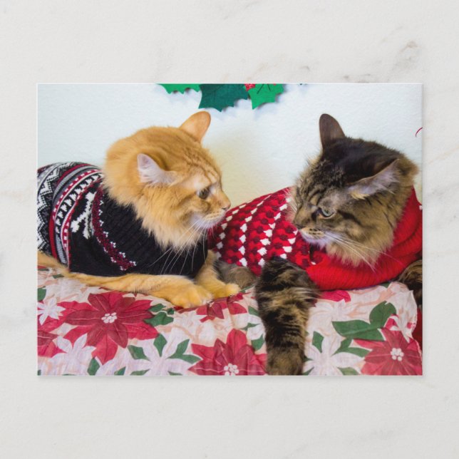 Cartão Postal Irmãos (Frente)