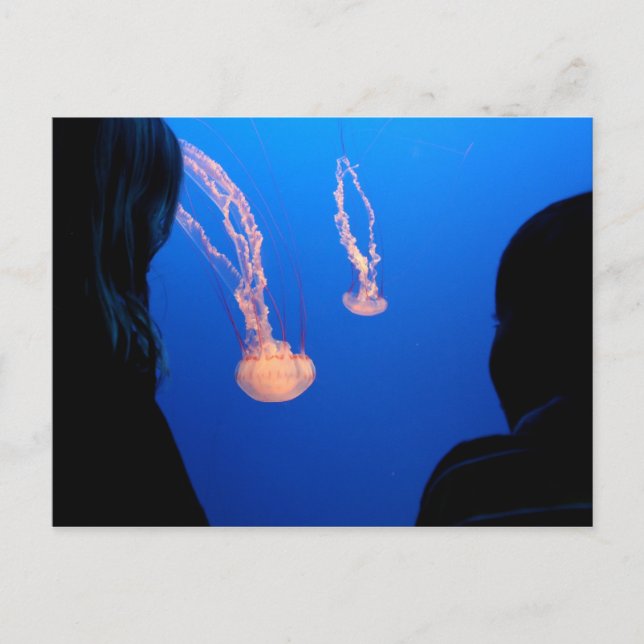 Cartão Postal Irmãos (Frente)