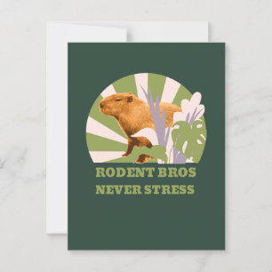 Cartão Postal Irmãos Roedores Nunca Estrese Capivara