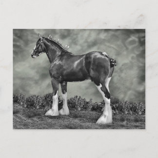 Cartão Postal Iron Horse Steele