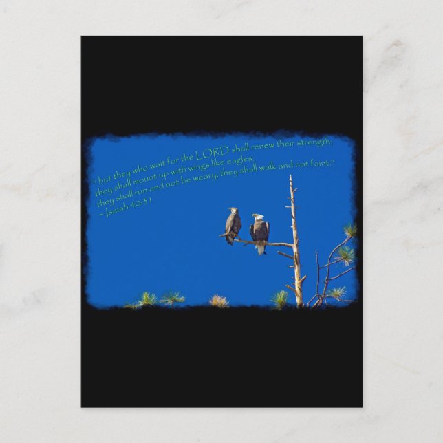 Cartão Postal Isaiah 40:31 em preto (Frente)
