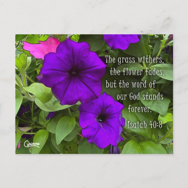Cartão Postal Isaiah 40:8 - Cartão-postal (Frente)