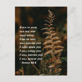 Cartão Postal Isaías 46:4 Eu sou Aquele que vos sustentará  Cart