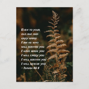 Cartão Postal Isaías 46:4 Eu sou Aquele que vos sustentará  Cart