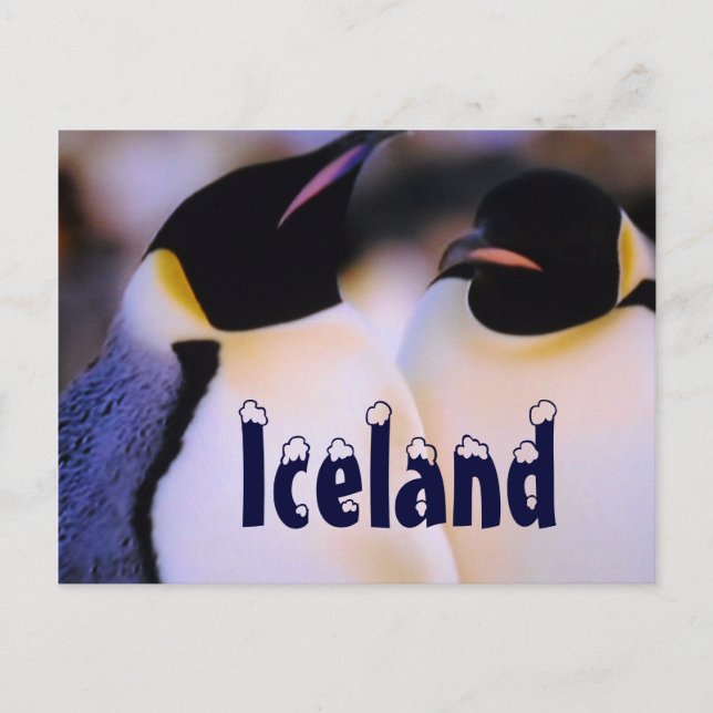 Cartão postal islandês dos pinguins árticos (Frente)